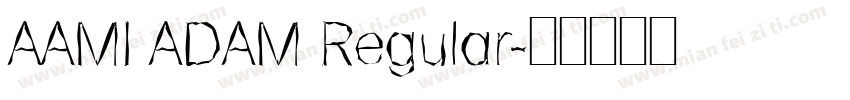 AAMI ADAM Regular字体转换